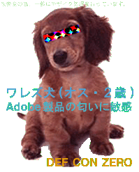そのＲはPhotoShop 5.1Jだろギコワンワン！