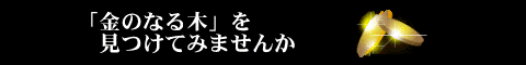 [7] ダイモンドワークス　伊藤正道