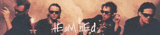 tEaM hEd Logo
